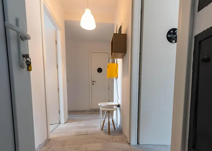 Center 招待所 普拉